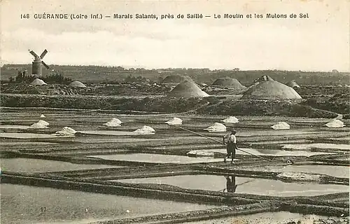 Récolte du sel à Saillé.