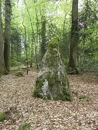 Image illustrative de l’article Forêt de Haute-Sève