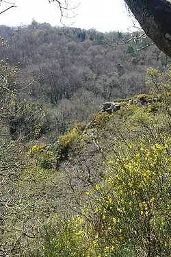 « -Vois-tu ta tête ? -Non -Vois-tu le monde ? -Oui -Tu y es. R. Lang