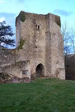 Tour castrale du château (janv.&nbsp;2012).