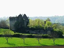 Les ruines du château de la Renaudie.