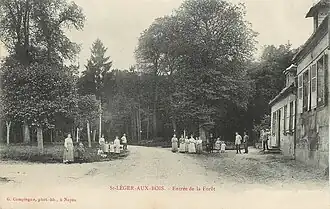 L'entrée de la forêt.