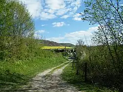 Panorama sur le larris.