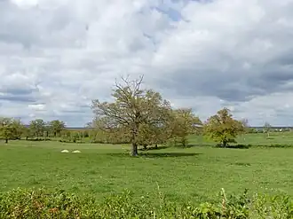 Image illustrative de l’article Bassin versant de l'étang des Landes