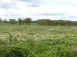 Paysage au lieu-dit la Jarrige, Saint-Loup.