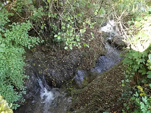 Le ruisseau de Saint-Martin (en bas à gauche) se jette dans le Caudeau (venant de la droite), en limite de Saint-Georges-de-Montclard et de Saint-Martin-des-Combes.