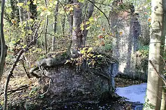 Vestiges des assises du moulin à eau.