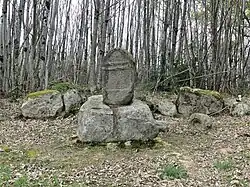 La nécropole gallo-romaine de la Betoulle.