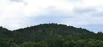 Face ouest du Saint-Mont.