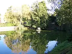 La mare dans le village (oies, héron cendré).