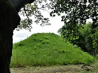 Une des mottes castrales.