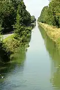 Le canal de la vieille Autise.