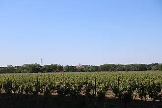 Vue générale de Nézignan-l'Évêque depuis Saint-Thibéry.