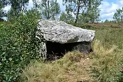 Dolmen de Miné Mein