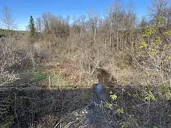 Ruisseau Bras Fanfan, du pont P-06222, rang Saint-Paul` .