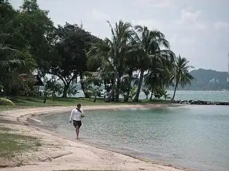 Plage nord de l'île