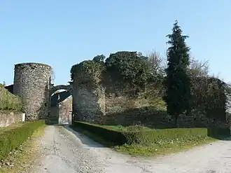 Ruines du château de Saint-Michel.