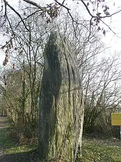 Menhir de Pierrefrite.
