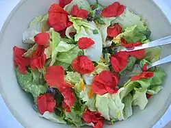 Salade de coquelicot