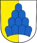 Blason de Salenstein
