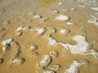 Dépôts naturels de sel