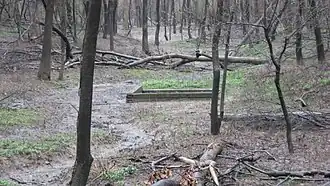 Equality Township (comté de Gallatin, Illinois)