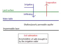 Salinisation d'une plaine artificiellement irriguée