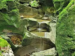 Marmites de géant sur le ruisseau du Todeur.