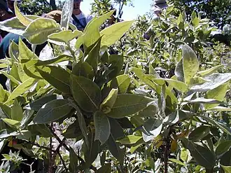 Description de cette image, également commentée ci-après