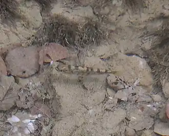 Description de cette image, également commentée ci-après