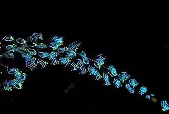 Description de cette image, également commentée ci-après