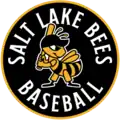 Description de l'image Salt Lake Bees 2024.png.