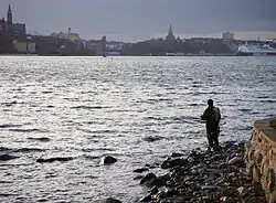 Pêche au saumon à Saltsjön depuis Södra Djurgården, en arrière-plan, vous pouvez voir Södermalm