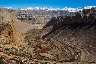 Les vergers de Samar.