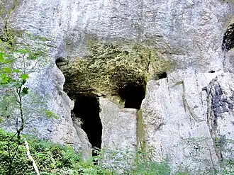 Grottes de la Baume.