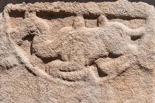 Chameau de Bactriane.