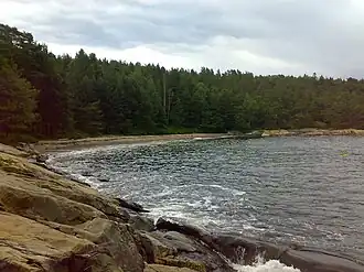 Littoral de la réserve naturelle