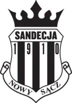 Logo du Sandecja Nowy Sącz