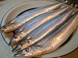 Cololabis saira (Scomberesocidae)