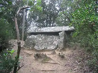 Dolmen de Castellruf.