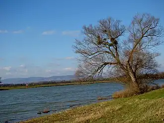 Image illustrative de l’article Val de Saône (région naturelle)