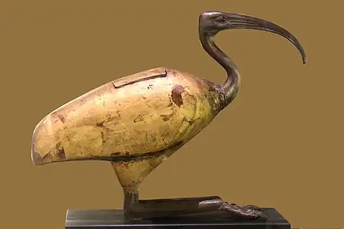 Sarcophage d'ibis blanc, au dieu Thot,