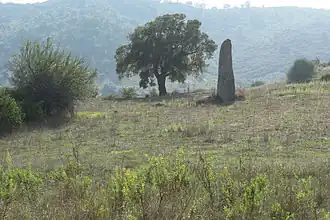 Le menhir de Tortolì