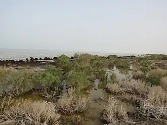 Image illustrative de l’article Lac Sary Kamysh