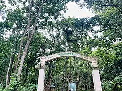 Satchari national park, Bangladesh