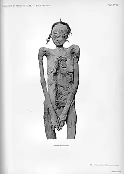 Image illustrative de l’article Ahmès-Satkamosé