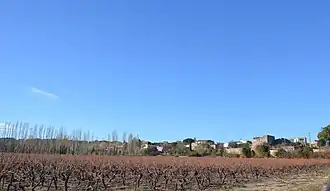 Vue sur les vignes et le village de Saturargues.