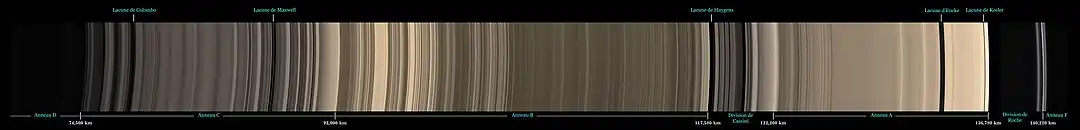 Image similaire à celle vue au-dessus avec les divisions et les noms des anneaux indiqués.