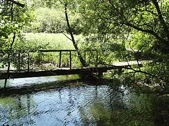 Marais des Grands Prés, passerelle.