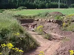 Vue de la carrière de Bromacker où affleurent les strates de la formation de Tambach.